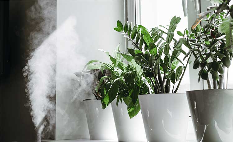 high-humidity